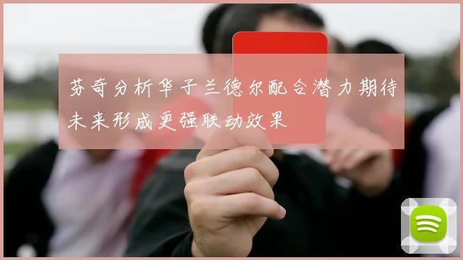 芬奇分析华子兰德尔配合潜力期待未来形成更强联动效果