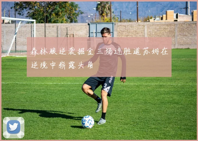森林狼逆袭掘金三场连胜道苏姆在逆境中崭露头角